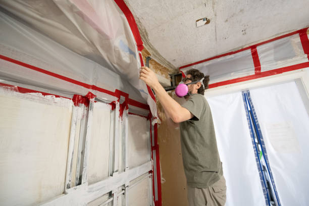 Best Black Mold Removal  in Walnut Creek, NC